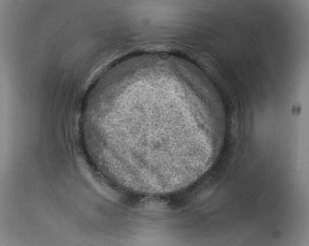 X0000112730491200909171131