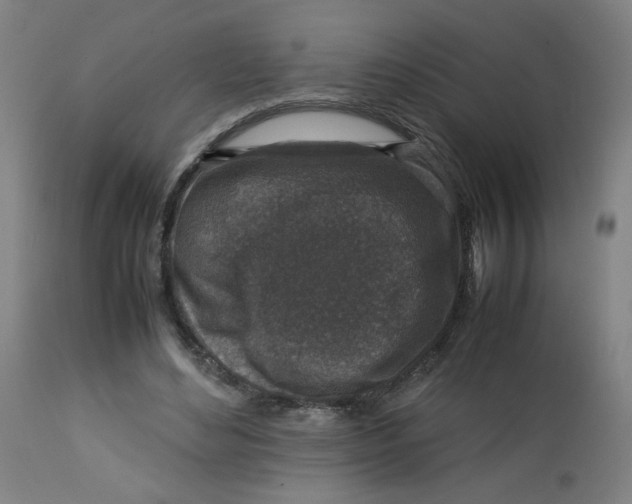 X0000112730492200909171131