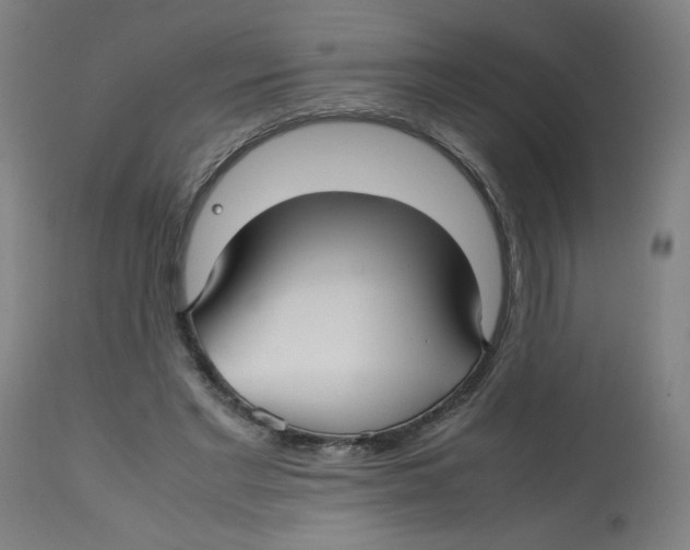 X0000112730493200909171131