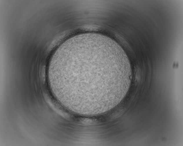 X0000112730494200909171131