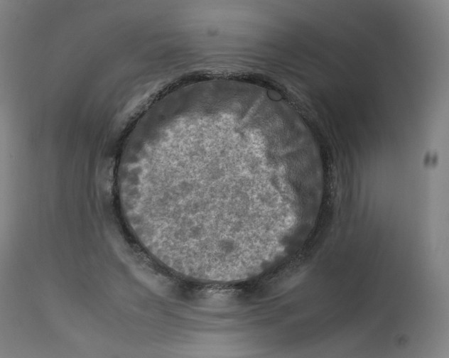 X0000112730495200909171131