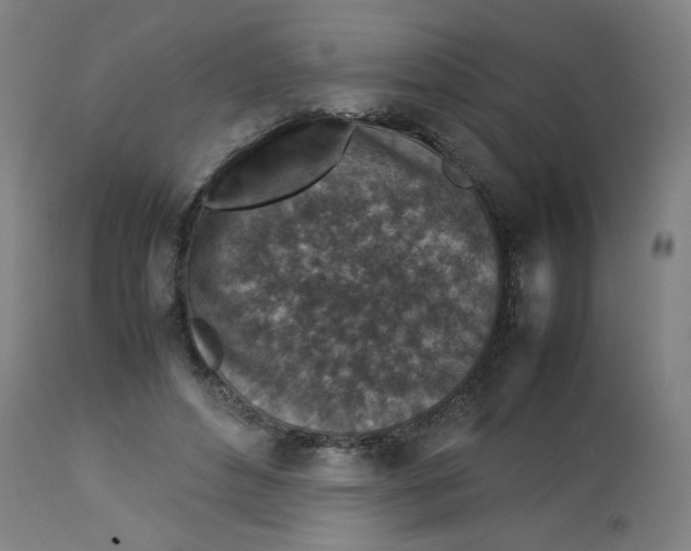 X0000112730496200909171130