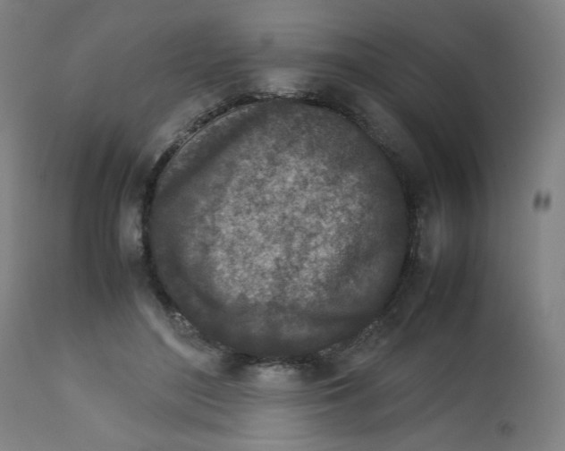 X0000112730500200909171130
