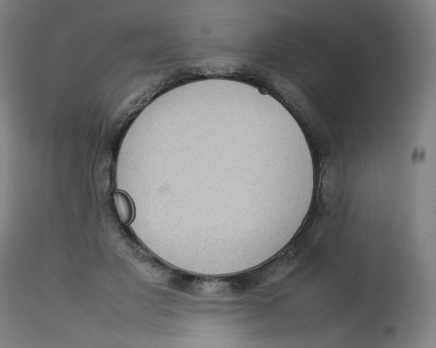 X0000112730501200909171130