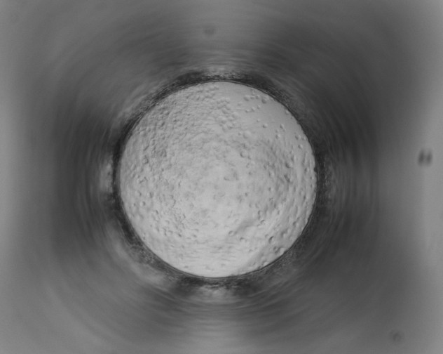 X0000112730502200909171130