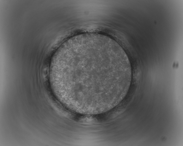 X0000112730503200909171130