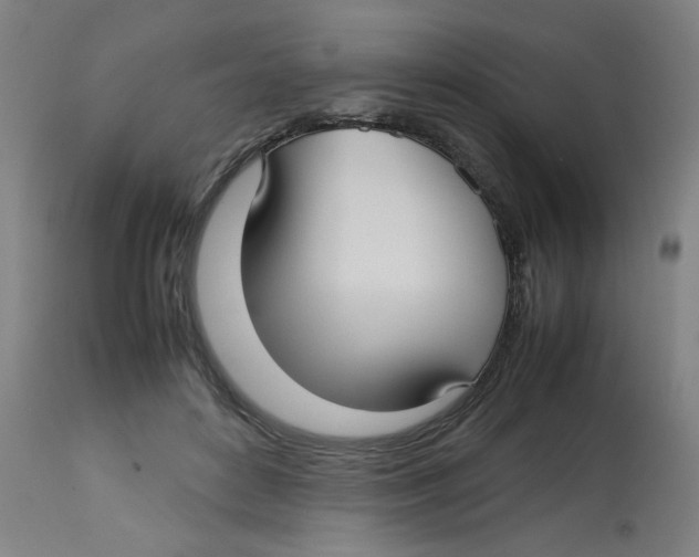 X0000112730504200909171130