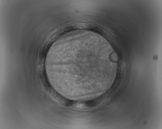 X0000112730507200909171130