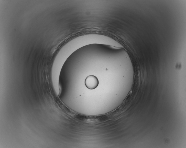 X0000112730508200909171130