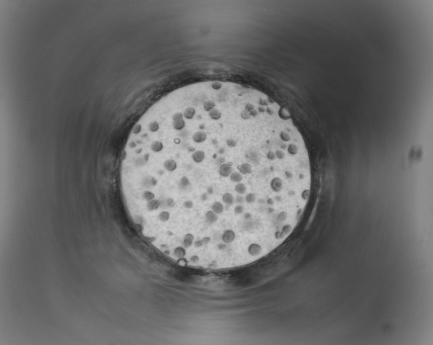 X0000112730511200909171130