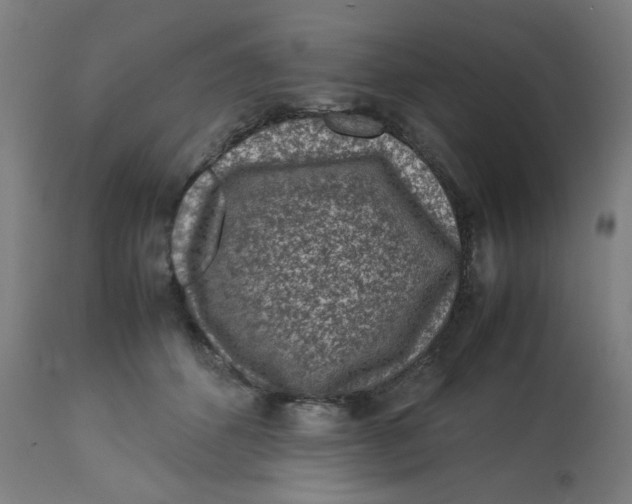 X0000112730512200909171130