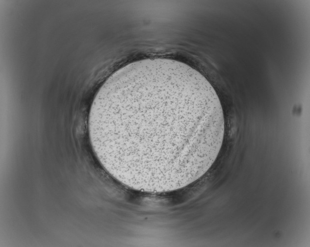 X0000112730515200909171130