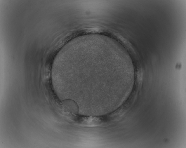 X0000112730517200909171130