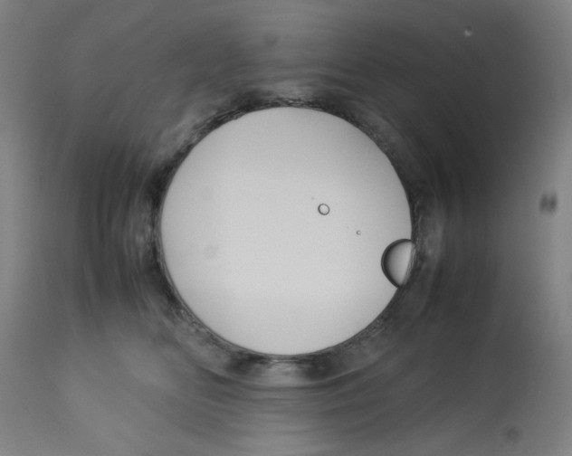 X0000112730518200909171130