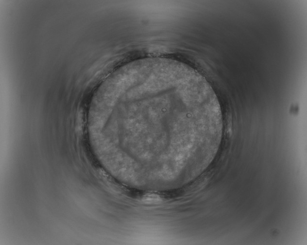 X0000112730519200909171130