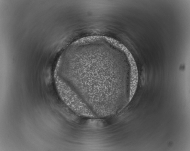 X0000112730520200909171130