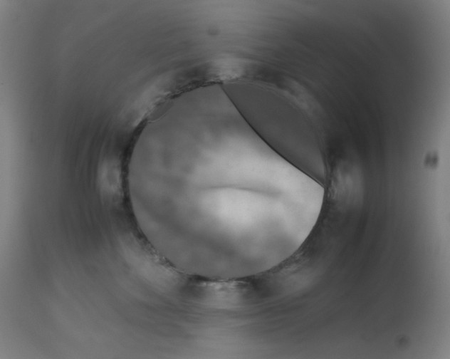 X0000112730524200909171130