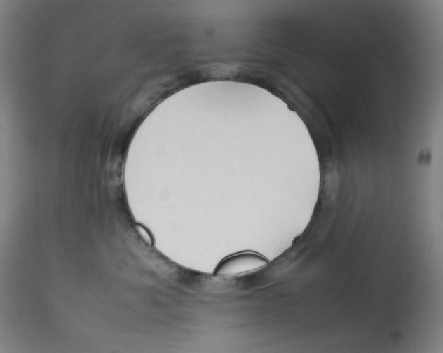 X0000112730525200909171130
