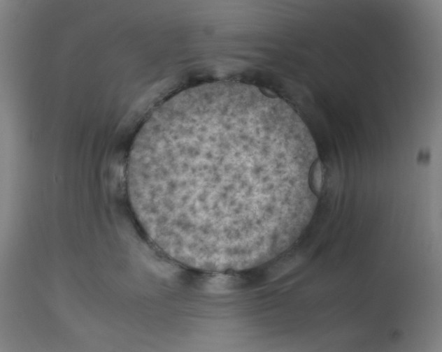 X0000112730527200909171130