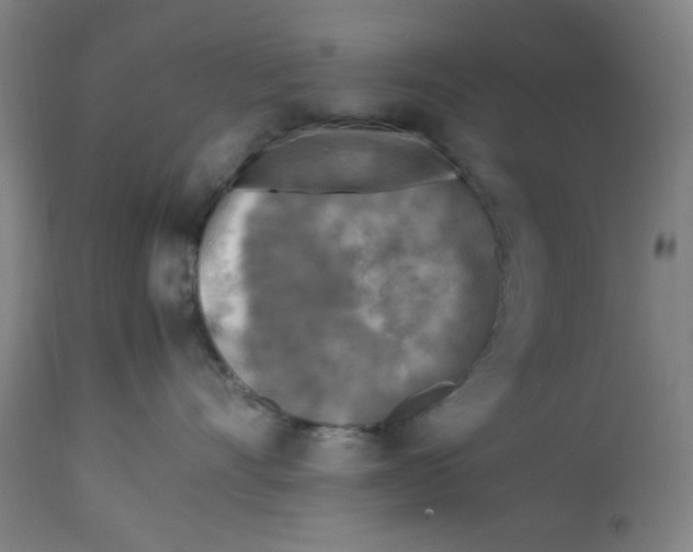 X0000112730528200909171130
