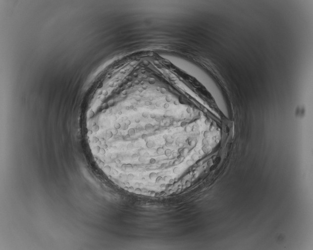 X0000112730531200909171129
