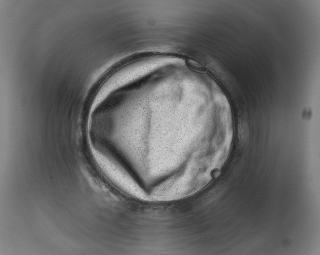 X0000112730532200909171129