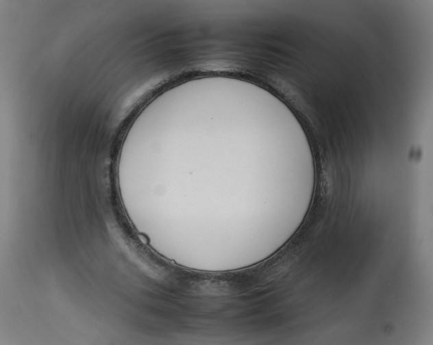 X0000112730535200909171129