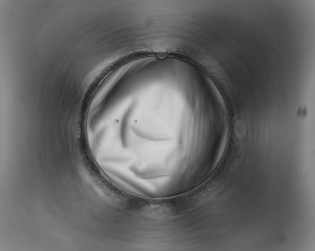 X0000112730536200909171129
