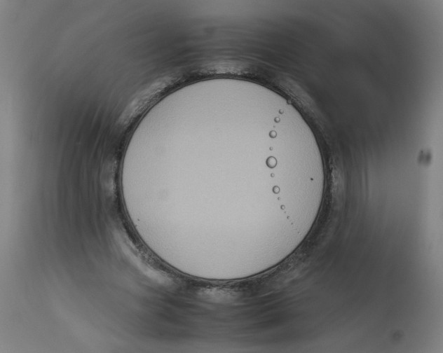 X0000112730537200909171129