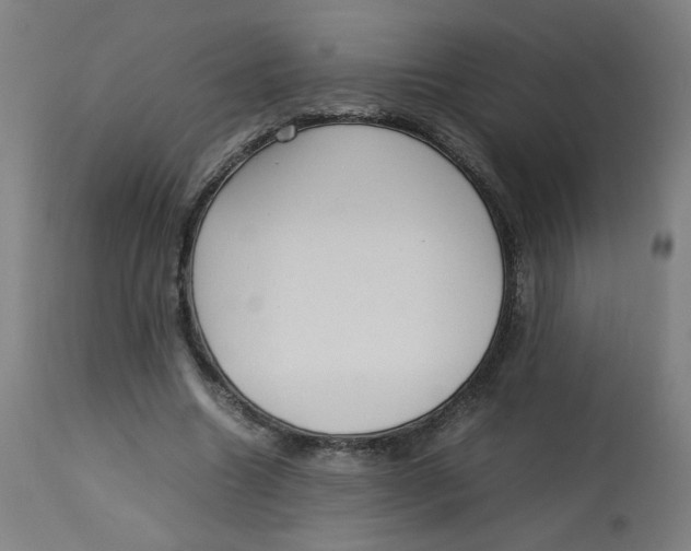 X0000112730538200909171129