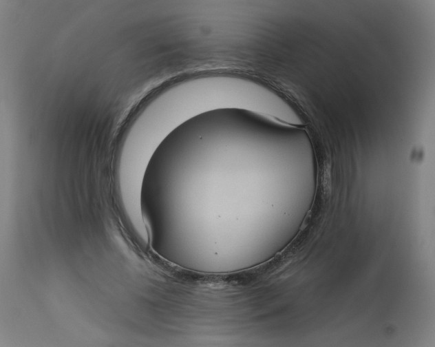 X0000112730540200909171129