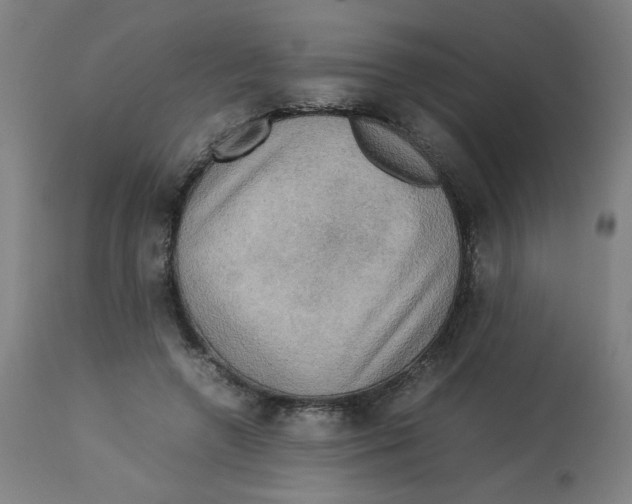 X0000112730546200909171129