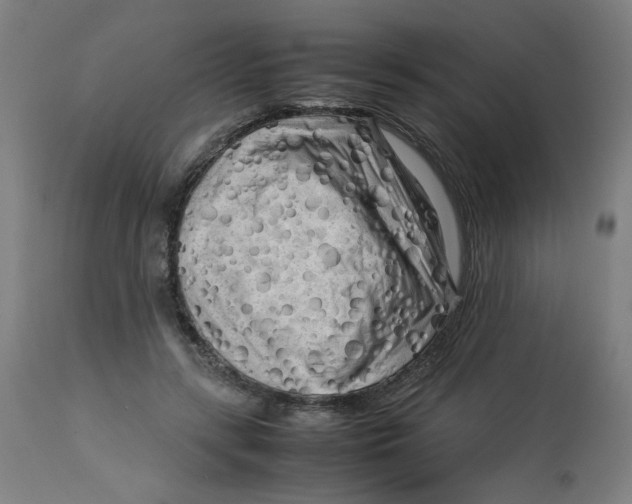 X0000112730547200909171129