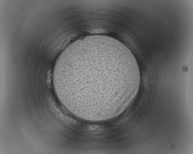 X0000112730549200909171129
