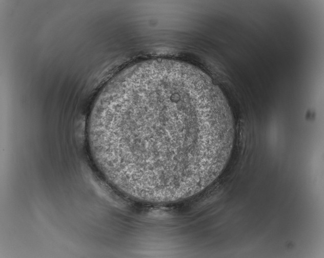 X0000112730550200909171129