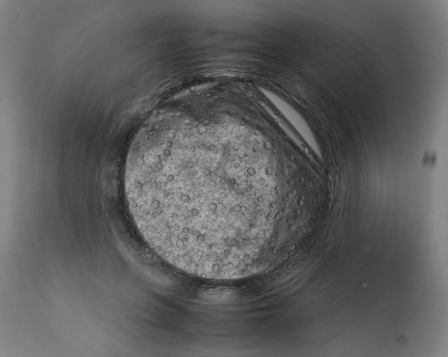 X0000112730551200909171130