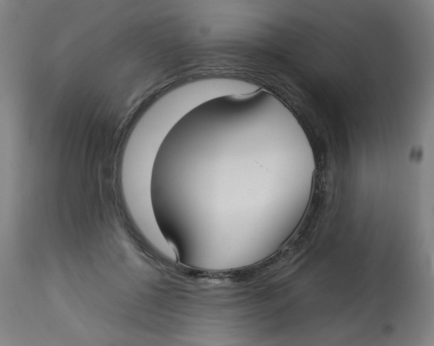 X0000112730552200909171130
