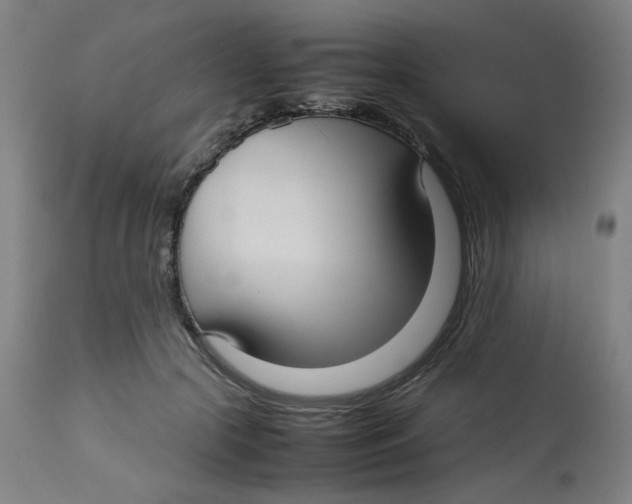 X0000112730553200909171130