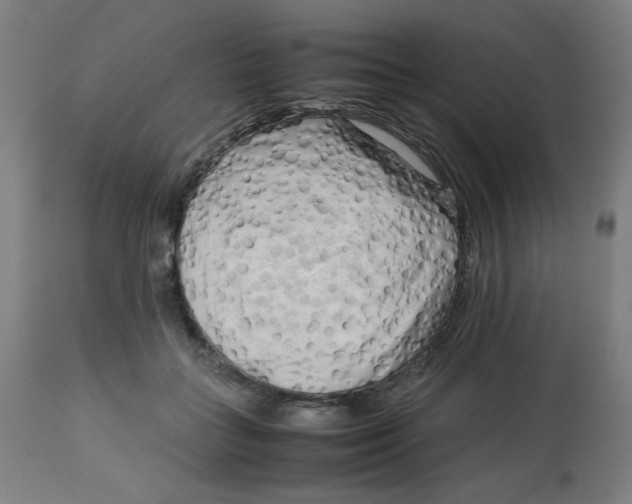 X0000112730555200909171130