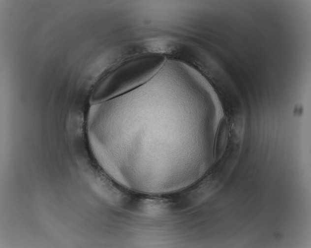X0000112730556200909171130