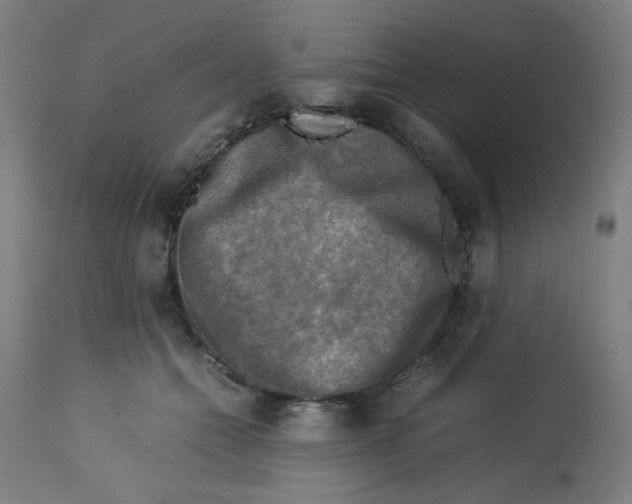 X0000112730558200909171130