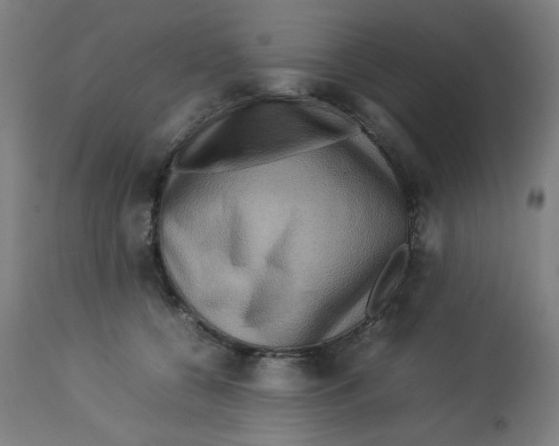 X0000112730560200909171130