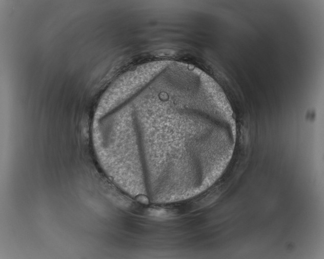 X0000112730561200909171130
