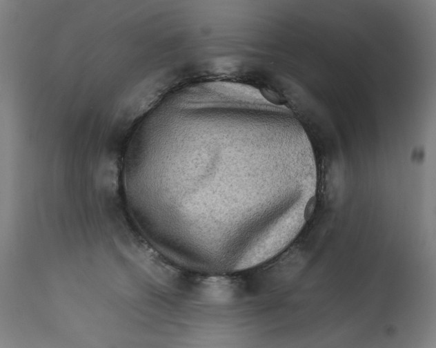 X0000112730562200909171130