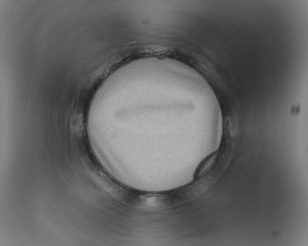 X0000112730564200909171130