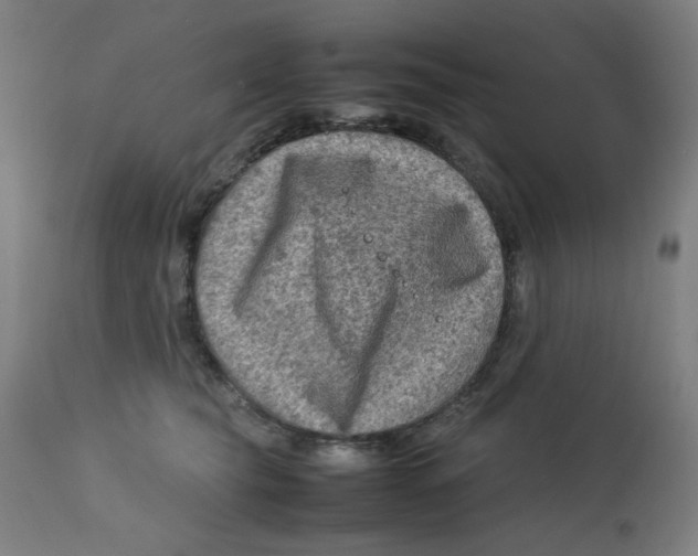X0000112730565200909171130