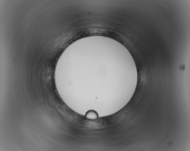X0000112730567200909171130