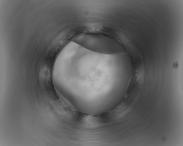 X0000112730568200909171130