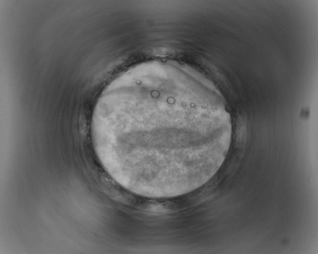 X0000112730569200909171130