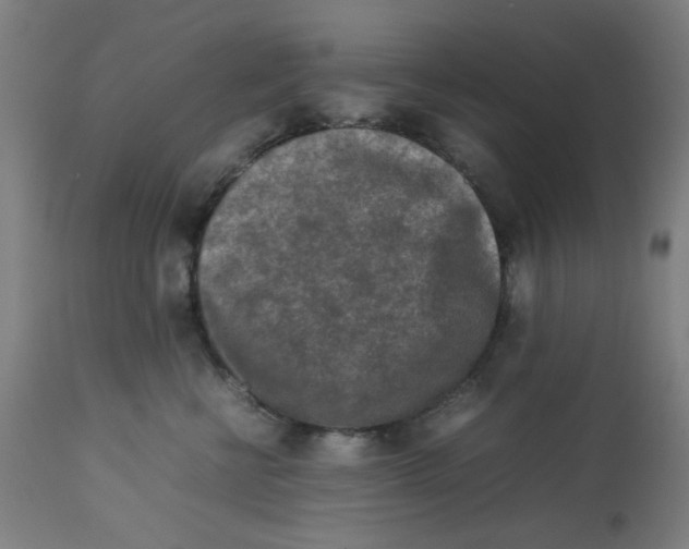 X0000112730570200909171130